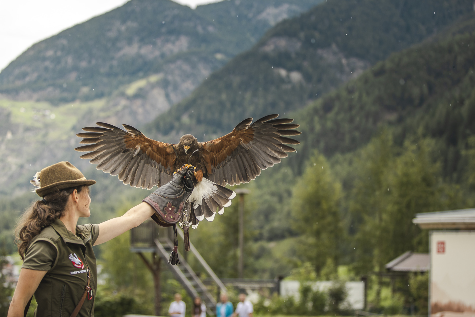 Greifvogelpark in Umhausen Greifvogelpark in Umhausen